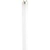 Satco S8436 F32t8/865/Env 32w Fluorescent W/ Medium Bi-Pin Base - Daylight Bulb - Pkg Qty 30