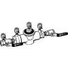 Watts 0063235 2" Double Check Valve
