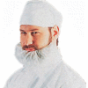 Beard Cover