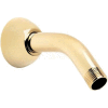 Speakman 5-1/2" Shower Arm Polished Brass Finish