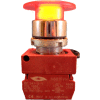 N5CEM4RL, 22mm Mushroom Head Pushbutton, chrome, momentary, 40mm head, red, illuminated.