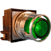 Springer Controls N7PLMVD02-120,30mm Illum. Push-Button,Guarded,Momentary,120V, 1 N.O.+1 N.C.,Green