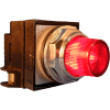 Springer Controls N7PLSRT02-240,30mm Illum. Push-Button,Extended,Momentary,240V, 1 N.O.+1 N.C.,Red