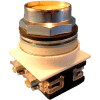 Springer Controls N7PNEG11,30 mm Recessed Push Button,1 Normally Open,1 Normally Closed,Mom.,Yellow