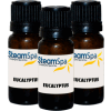 SteamSpa G-OILEUC3Essence Of Eucalyptus, 3-10ml Bottles For Steambaths
