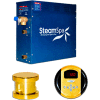 SteamSpa Oasis OA600GD Steam Generator Package, 6KW, Polished Brass