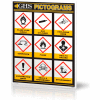 INCOM® GHS1028 GHS Simplified Pictogram Wall Chart, 18" x 24"