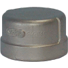 Trenton Pipe Ss304-63704 1/2" Class 150, Cap, Stainless Steel 304 - Pkg Qty 25
