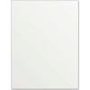 Royal Brites® Illustration Board, 20" x 30", White