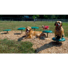 BarkPark™ Stepping Paws - Natural (Green)