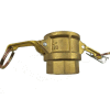 3/4" Brass Type D Coupler with Threaded NPT Female End