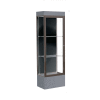 Edge Lighted Floor Case, Black Back, Dark Bronze Frame, 12" Carbon Mesh Base, 24"W x 76"H x 20"D
