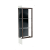 Edge Lighted Floor Case, Black Back, Dark Bronze Frame, 12" Frosty White Base, 24"W x 76"H x 20"D