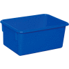 Blue Cubby Tray