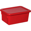 Red Lid for Cubby Tray