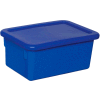 Blue Lid for Cubby Tray