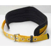 Werner® M110004 Tool Belt/Back Support, XL
