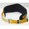Werner® M110005 Tool Belt/Back Support, XXL