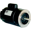 WEG Jet Pump Motor, 00136ES1BJPR56J, 1 HP, 3600 RPM, 115/208-230 Volts, TEFC, 1 PH