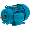WEG IEC TRU-METRIC™ IE3 Motor, 00152ET3WAL100L, 2HP, 1200/1000RPM, 3PH, 460V, 100L, TEFC
