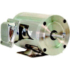 WEG SHARK™ Wash Down Duty, 01036ET3ESS215TC, 10 HP, 3600 RPM, 208-230/460 Volts, TEFC, 3 PH