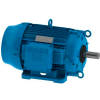 WEG Cooling Tower Motor, 05012ET3ECT365T-W22, 50 HP, 1200 RPM, 208-230/460 Volts, 3 Phase, TEFC