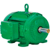 WEG Cooling Tower Motor, 06018ET3PCT364T, 60 HP, 1800 RPM, 200 Volts, 3 Phase, TEFC