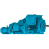 WEG Crusher Duty® Motor, 10018ET3ERB405T-W22, 100 HP, 1800 RPM, 208-230/460 Volts, TEFC, 3 PH