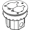 Wiremold 861DB Floor Box, Wood, 895T Brass Cover & 20A Duplex Receptacle