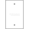 Wiremold Rfb119-B Floor Box 1-Gang Blank Device Plate - Pkg Qty 10