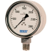4" Type 233.30 2,000PSI Gauge - 1/2" NPT LM Stainless Steel