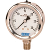 4" Type 233.53 160PSI Gauge - 1/2" NPT LM Stainless Steel
