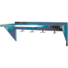 Stainless Steel Wall Mounted Shelf, 12" x 48" Shelf with Hooks