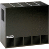 Williams Enclosed Front Room Heater 2001622A Natural Gas 20000 BTU