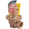 Watts 3/4" Relief Valve 0274428