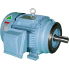 Hyundai PEM Motor HHI30-18-286TC, TEFC, Rigid-C, 3 PH, 286TC, 30 HP, 1800 RPM, 36 FLA