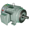 Hyundai T-Frame Motor IEEE1.5-36-143TC, TEFC, Rigid-C, 3 PH, 143TC, 1.5 HP, 460V, 2 FLA