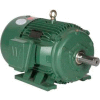 Worldwide Electric Motor PEWWE40-12-575-364T, PREM EFF, TEFC, Rigid, 3 PH, 364T, 575V, 40.6 FLA