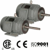 Worldwide Electric CC Pump Motor PEWWE10-36-215JP, TEFC, Rigid-C, 3 PH, 215JP, 10 HP, 3600 RPM