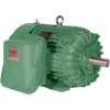 Worldwide Electric EXP Motor XPEWWE75-36-365TS, TEXP, Rigid, 3 PH, 365TS, 75 HP, 3600 RPM, 82.5 FLA
