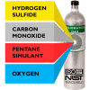 Norlab Hydrogen Sulfide Gas Cylinder-1053, 10 ppm H2S, 300 ppm CO, 1.5% CH4, 15% O2, 58L (Z)