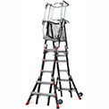 Safety Cage Ladders