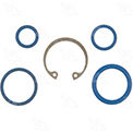 Gaskets & Sealing Systems