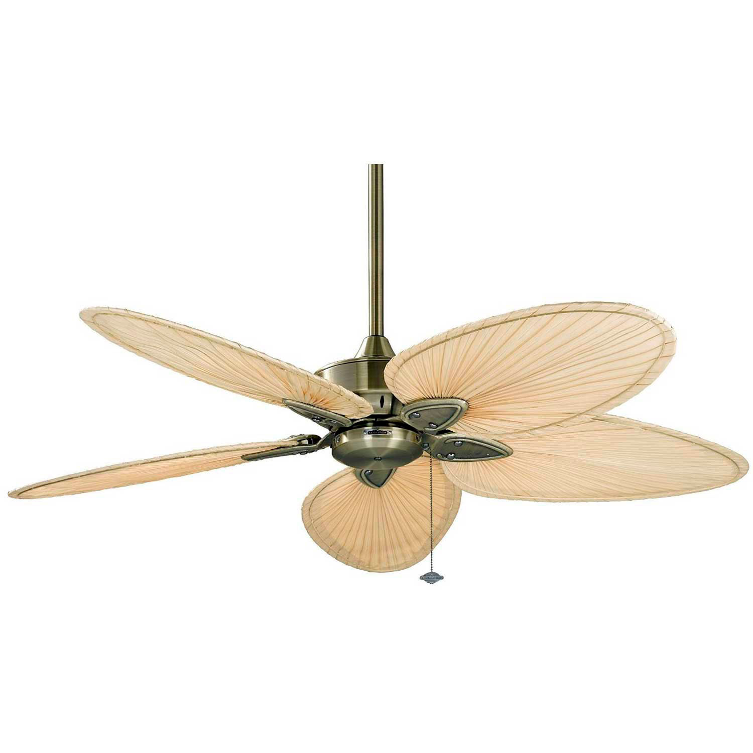 Fans Residential Ceiling Fans Fanimation Fp7500ab Windpointe