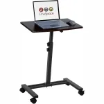 Laptop Carts & Stands