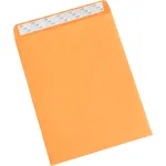 Self-Seal Envelopes