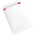 Self-Seal Envelopes