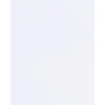 Flat Polypropylene Bags