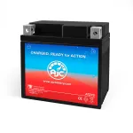 Scooter and Moped Batteries