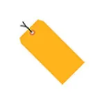 Fluorescent Tags